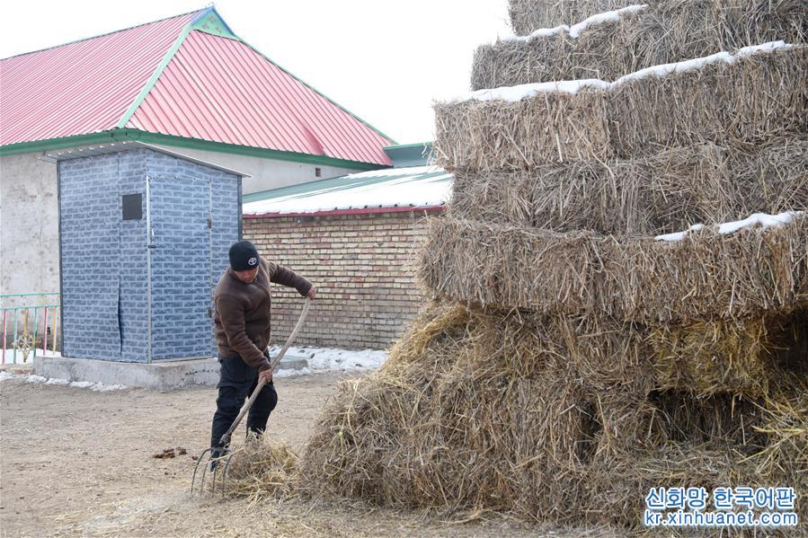 （圖文互動）（2）新疆開展村莊清潔行動提升鄉村“顏值”