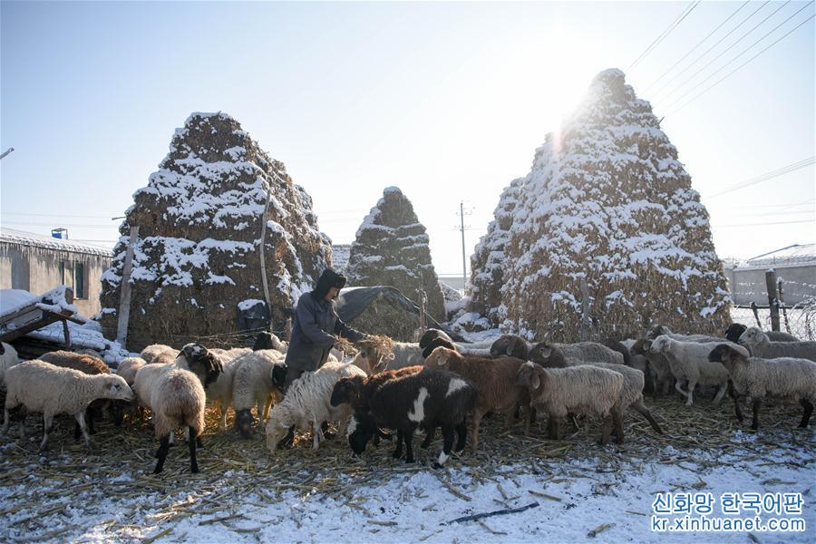 （图文互动）（5）新疆开展村庄清洁行动提升乡村“颜值”