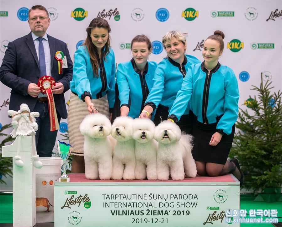 （国际）（5）立陶宛首都举办国际狗展