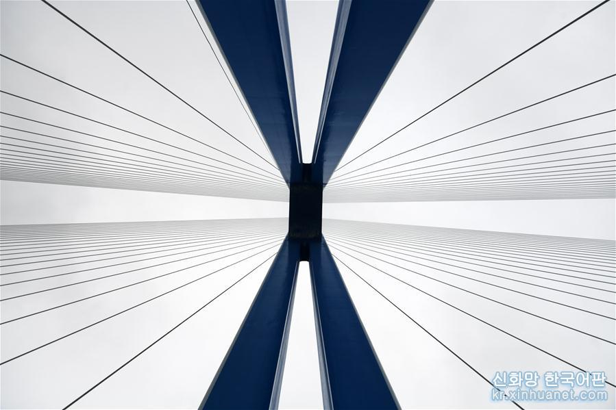 （社会）（7）贵州平塘特大桥宣布建成通车