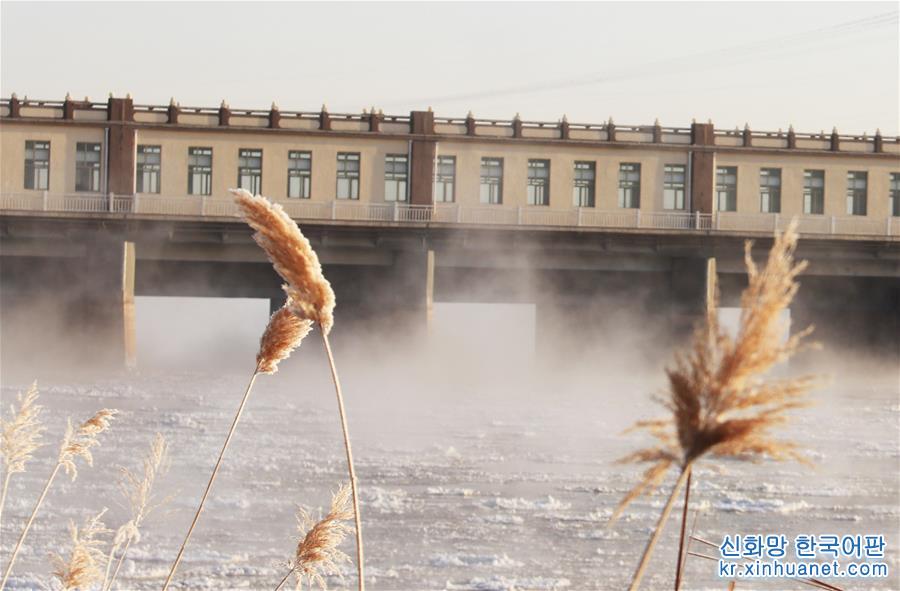 （环境）（4）黄河三盛公水利枢纽库区出现“水煮黄河”景观