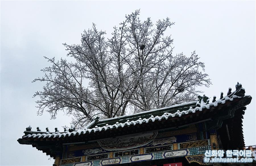 （环境）（1）雪后北京