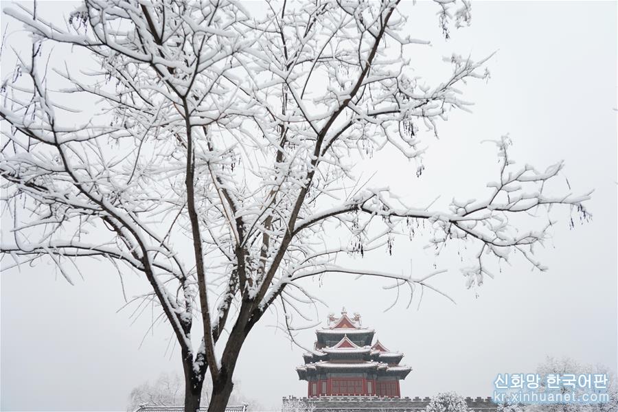 （环境）（4）雪后北京