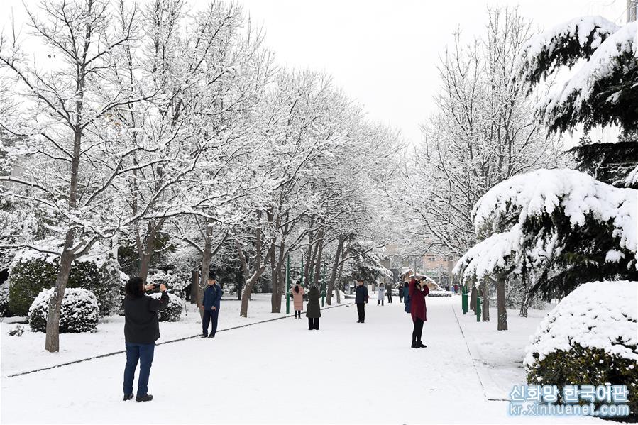 （环境）（13）雪后北京