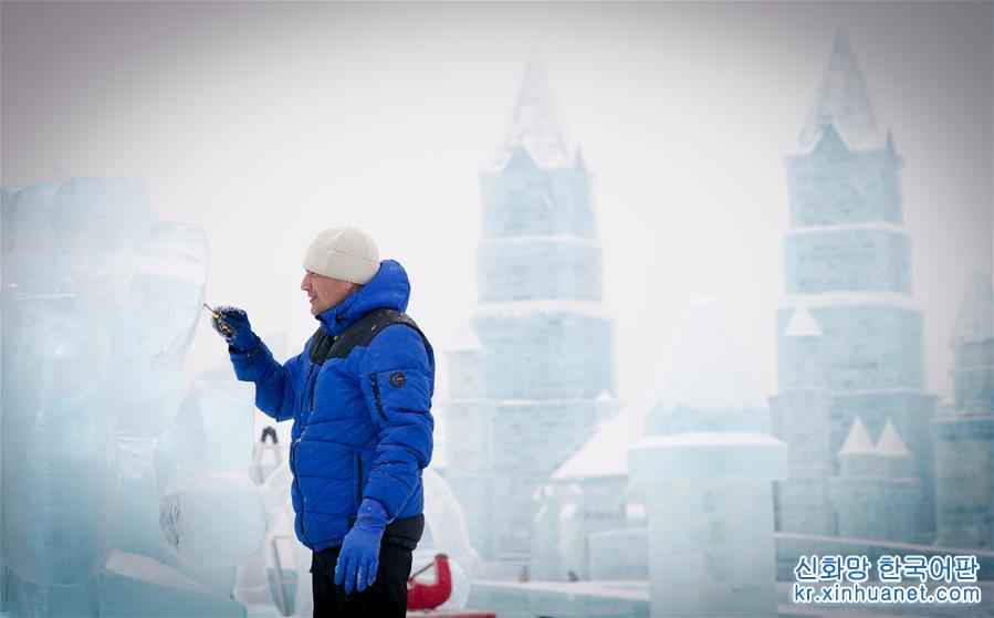 （社会）（1）哈尔滨国际冰雕比赛：“芳容”初现