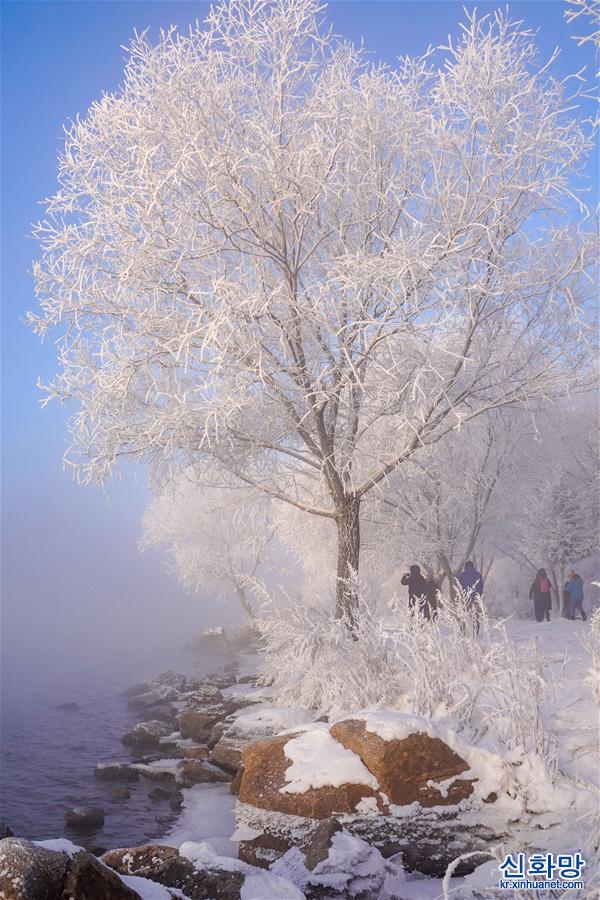 （美丽中国）（3）吉林：雾凇美景迎“小年”
