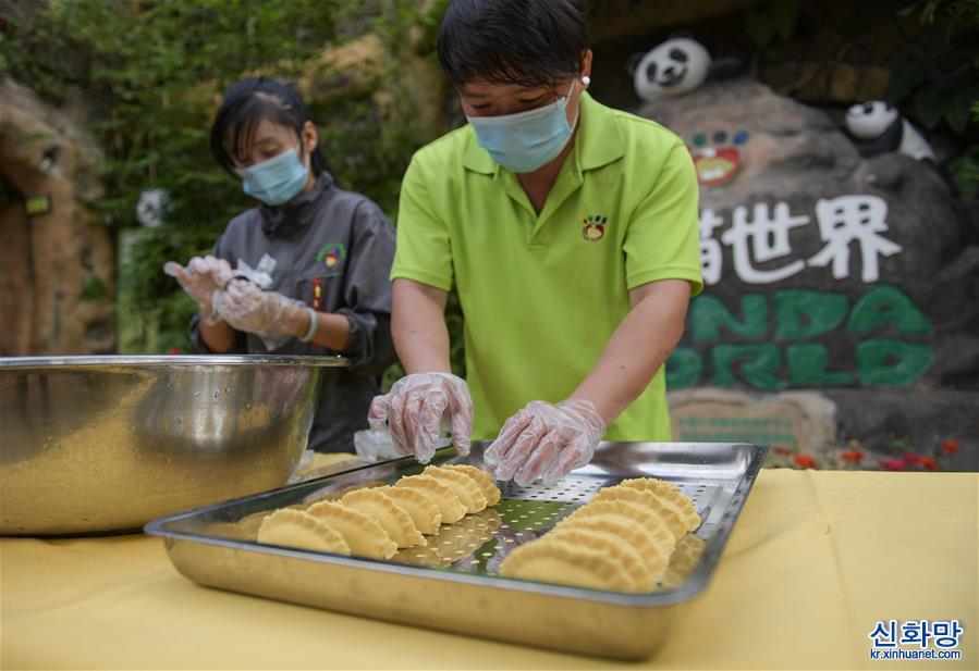 （社会）（2）海口：大熊猫吃“饺子”迎春节