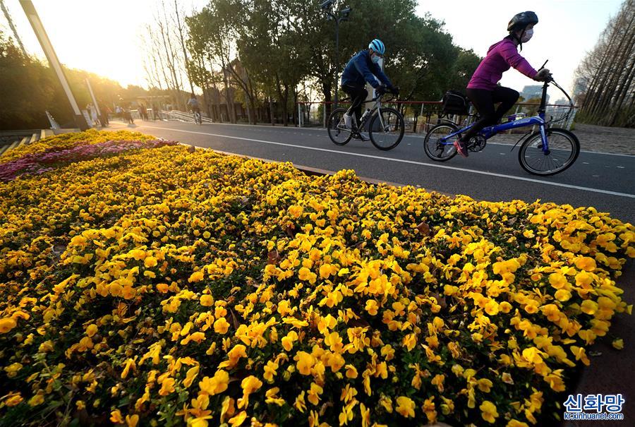 （环境）（7）上海：花开春意浓