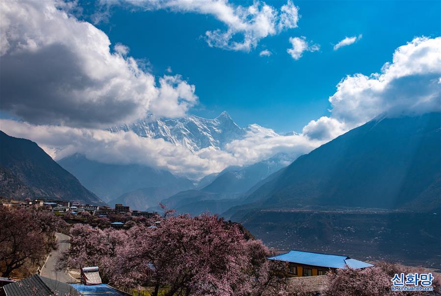 （春季美丽生态）（4）春到雅鲁藏布江大峡谷