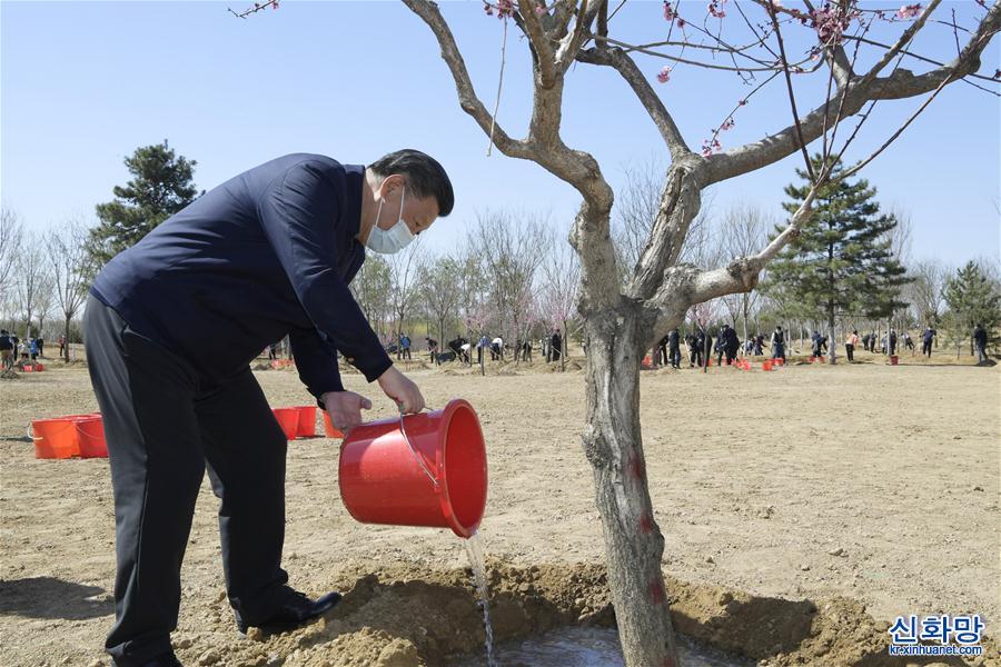 （XHDW）（5）党和国家领导人参加首都义务植树活动