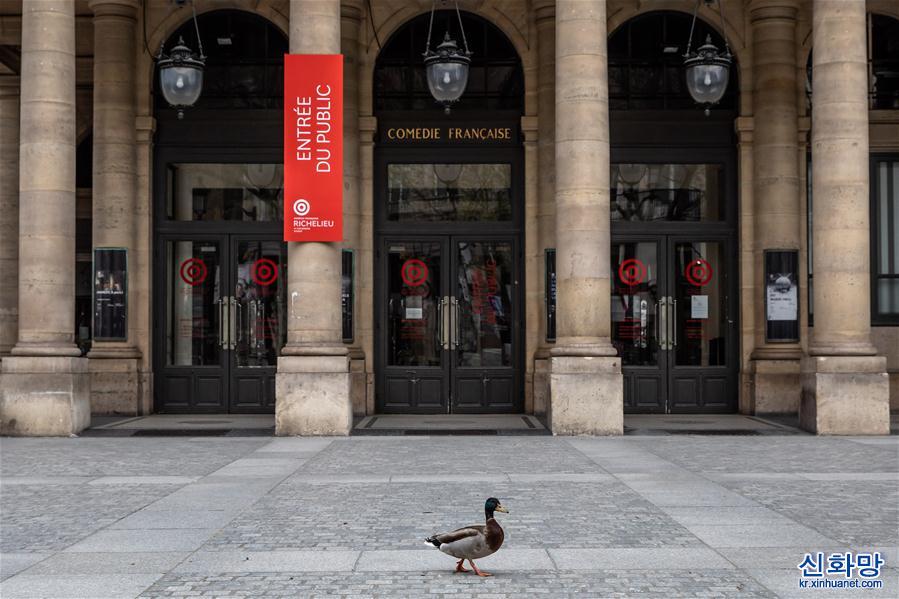 （国际疫情·XHDW）（4）空城巴黎:小鸟上街 鸭子当道