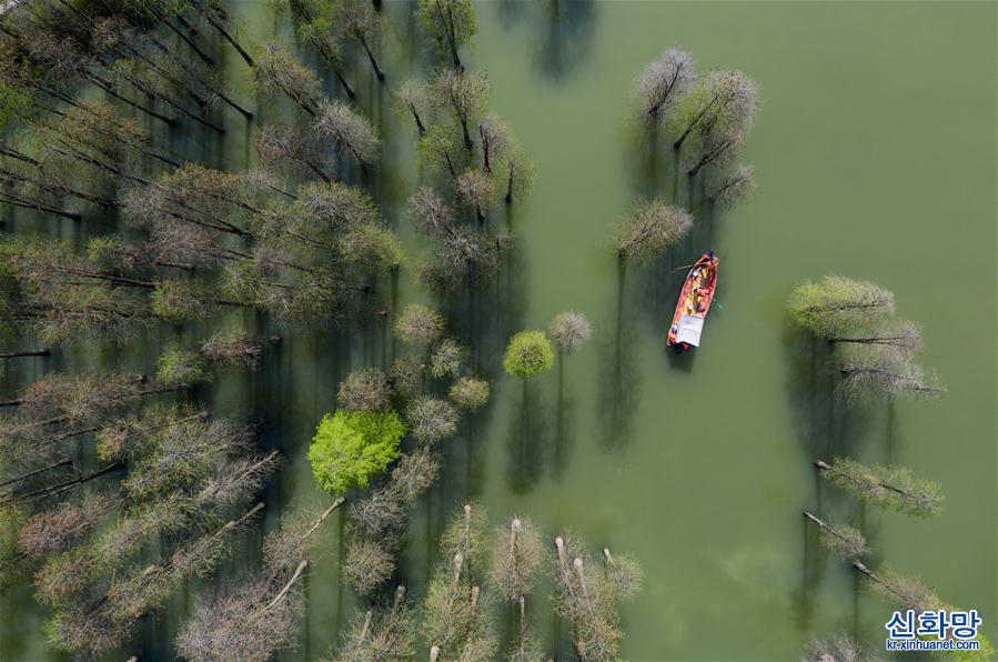 （环境）（7）杭州临安：营造美丽水环境 打造生态好家园