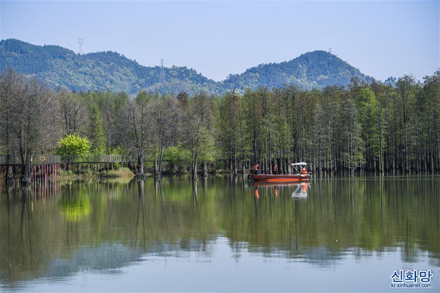 （环境）（3）杭州临安：营造美丽水环境 打造生态好家园