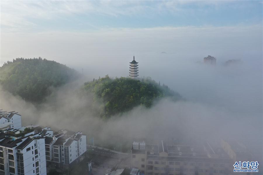 #（环境）（1）贵州福泉出现平流雾景观