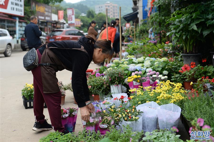 （新華網）（3）湖南長沙：母親節花卉俏銷