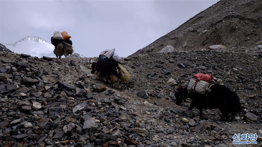 （2020珠峰高程測量）（3）挺進海拔5800米的珠峰過渡營地