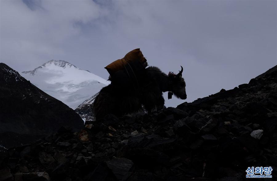 （2020珠峰高程測量）（4）挺進海拔5800米的珠峰過渡營地