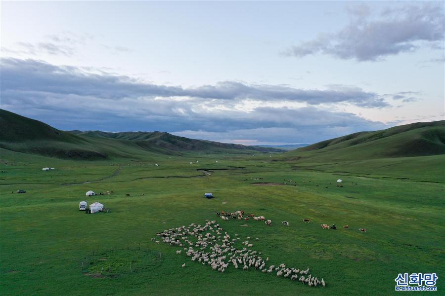 （环境）（3）阿鲁科尔沁草原夏日美景