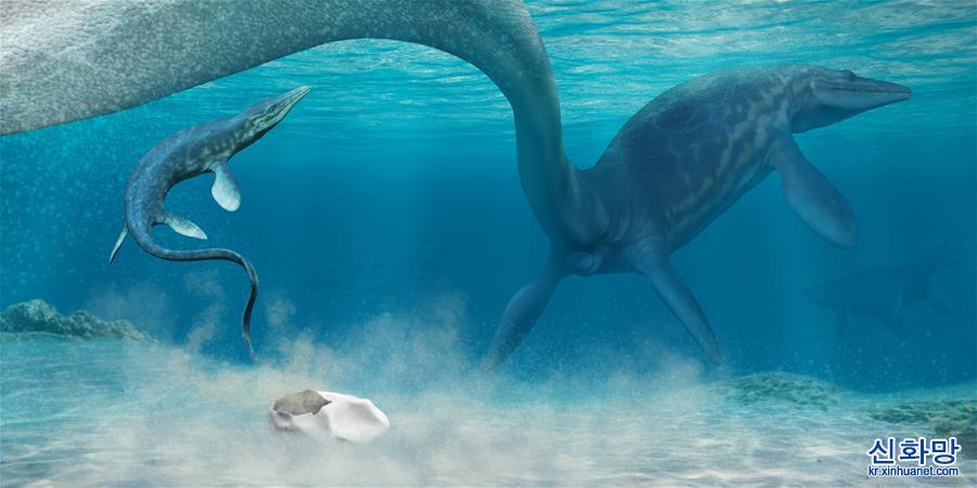 （國際）（1）科學家確認白堊紀“海洋霸主”滄龍的蛋化石