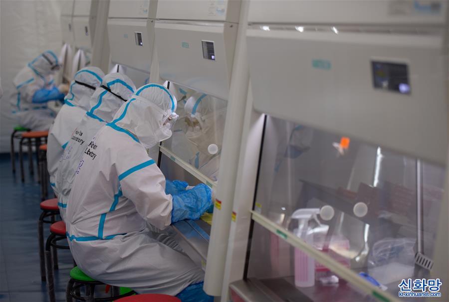（聚焦疫情防控）（5）北京首座氣膜版“火眼”核酸檢測實驗室正式運作