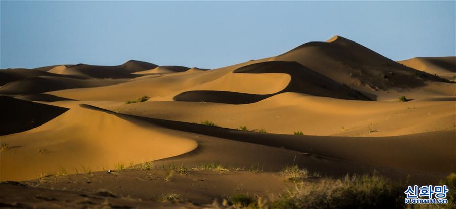 （美丽中国）（5）腾格里沙漠夏日即景
