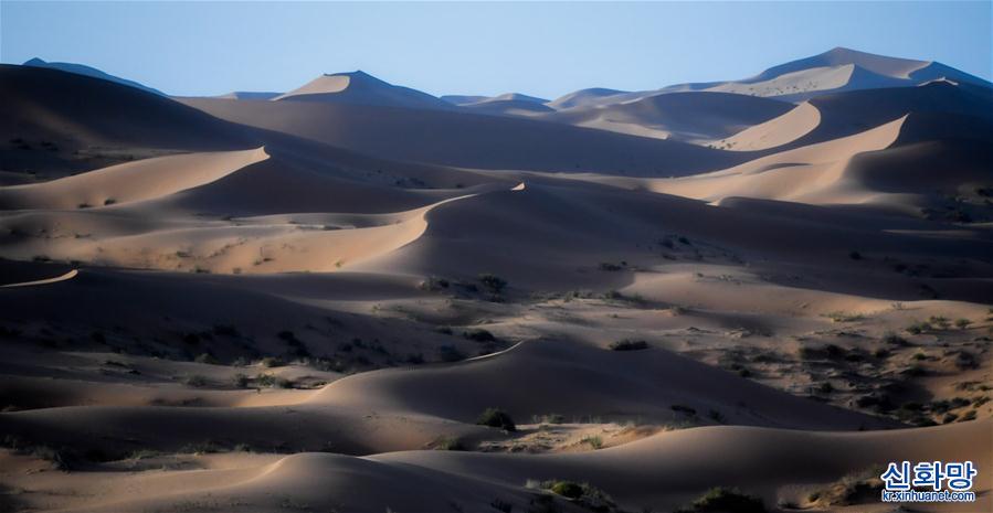 （美丽中国）（2）腾格里沙漠夏日即景