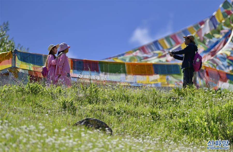 （美麗中國）（1）西藏林芝：避暑天堂惹人醉
