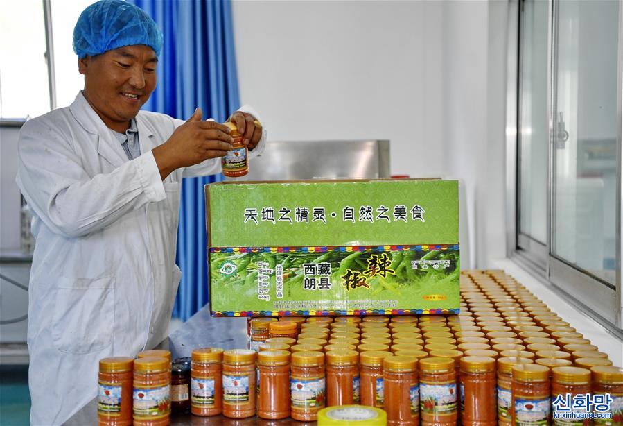 （走向我們的小康生活）（3）西藏朗縣：發展辣椒産業 助力脫貧攻堅