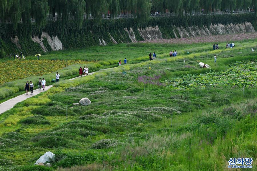 （环境）（1）陕西延安：河道综合治理 建设绿色家园