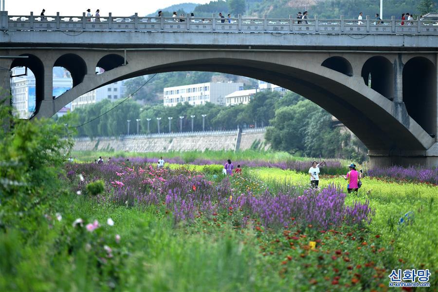 （环境）（2）陕西延安：河道综合治理 建设绿色家园