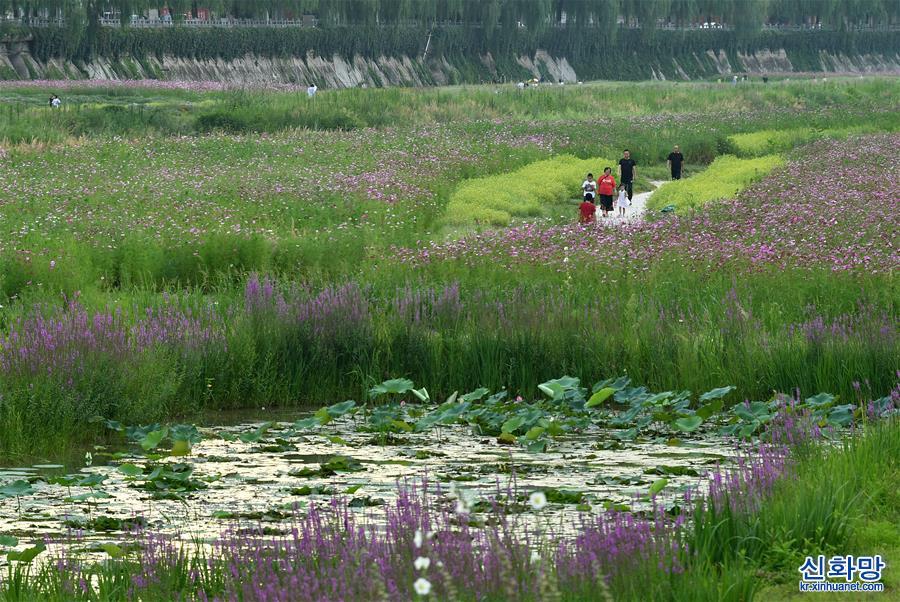 （环境）（3）陕西延安：河道综合治理 建设绿色家园