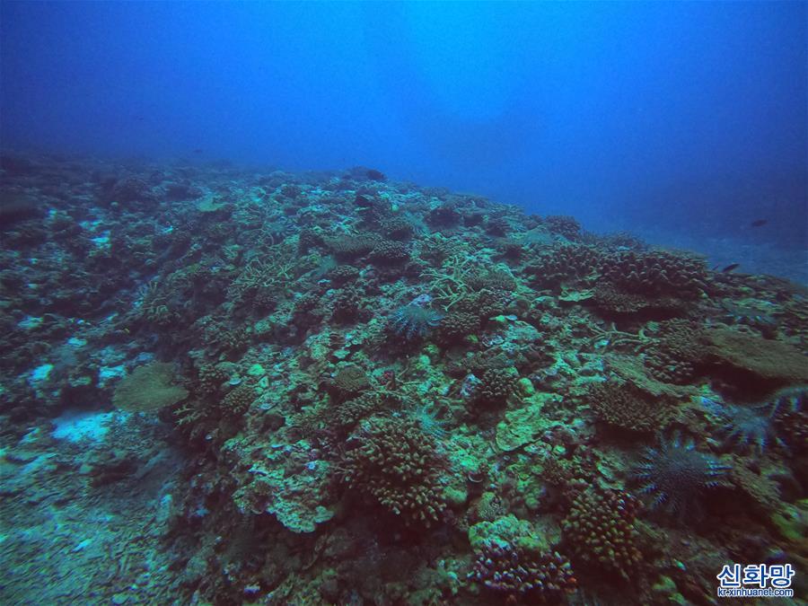 （图文互动）（1）中沙群岛综合科学考察项目2020年度综合航次任务完成