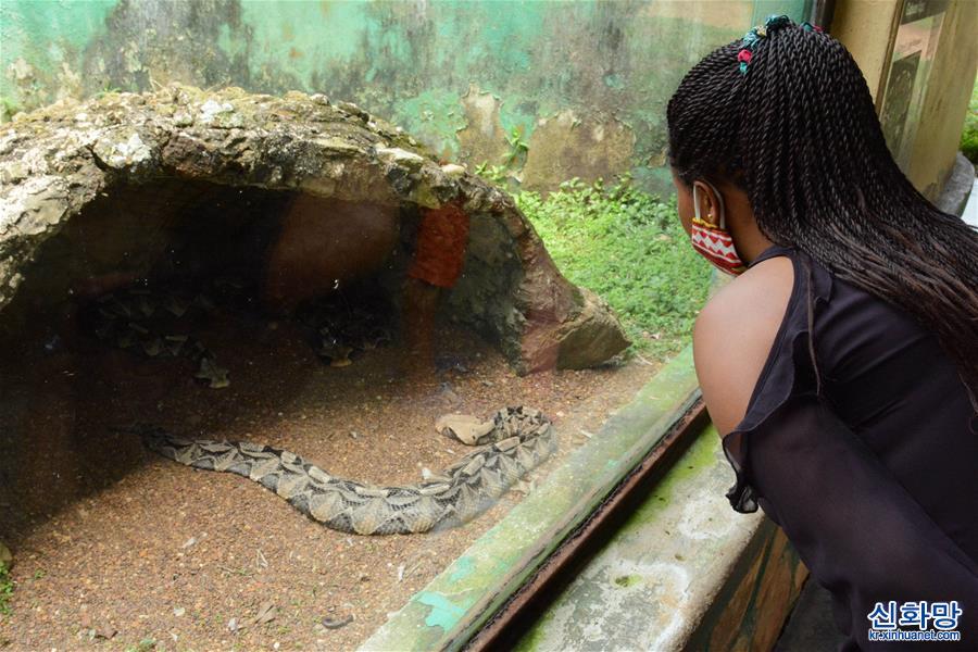 （国际疫情）（5）乌干达：动物园重新开放
