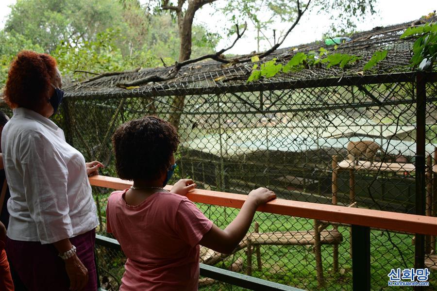 （国际疫情）（6）乌干达：动物园重新开放