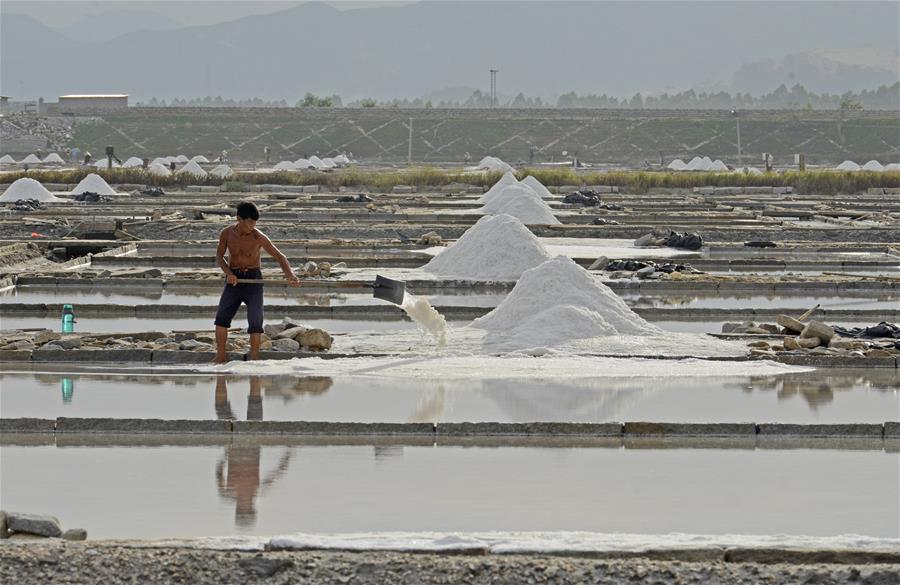 #（社會）（3）福建泉州：防禦颱風 搶收原鹽