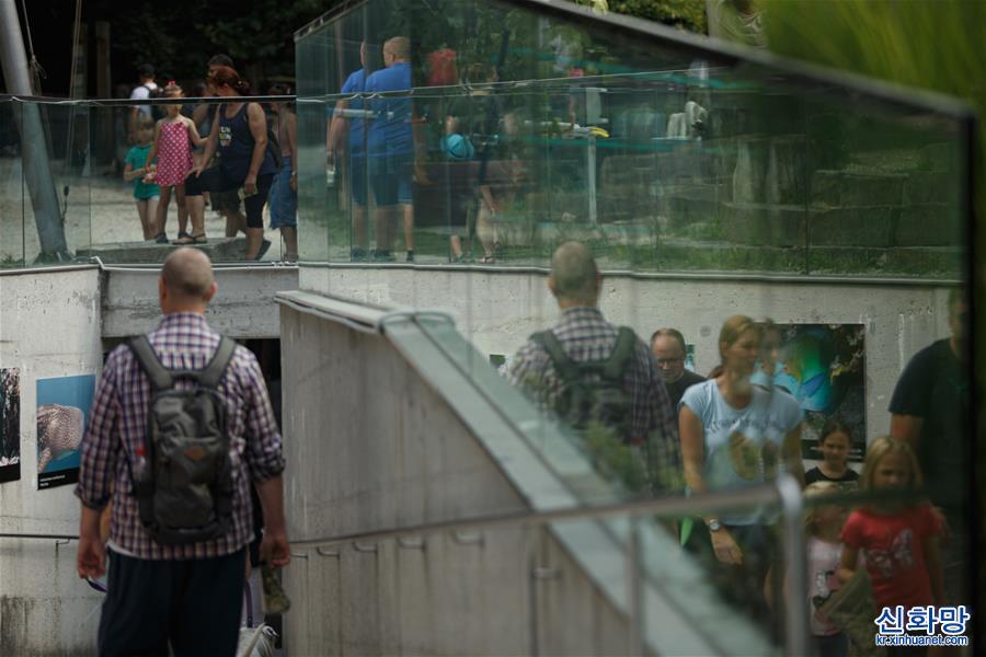 （國際）（5）斯洛文尼亞：動物園逐漸恢復往日生氣