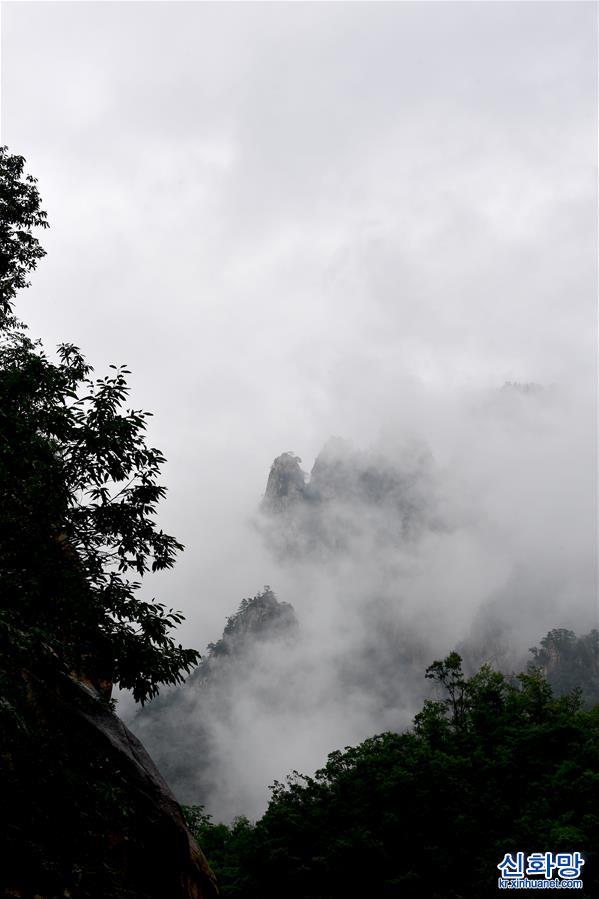 （新華視界）（3）河南西峽：雲卷雲舒老界嶺