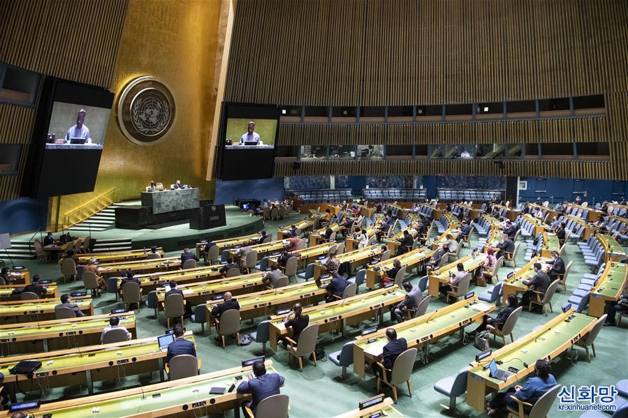 （国际）（1）联合国大会通过新冠肺炎疫情决议