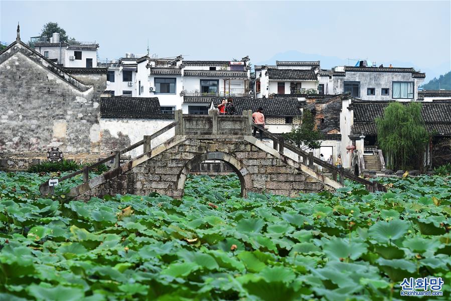 （坐著高鐵看中國）（1）探訪合福高鐵沿線的千年古村