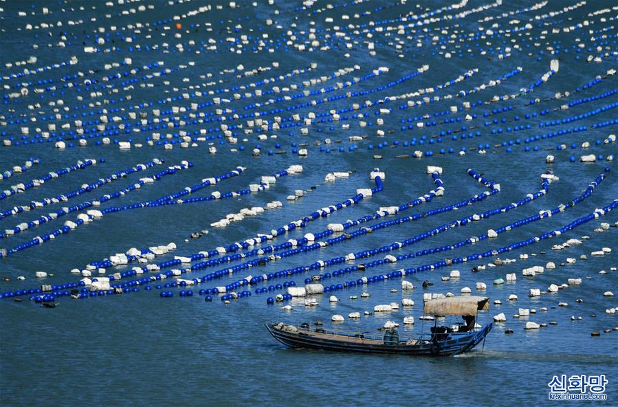 （美丽中国）（3）福建连江：“海上牧场”渔耕图