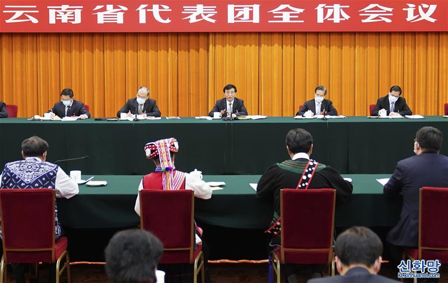 （两会）王沪宁参加云南代表团审议