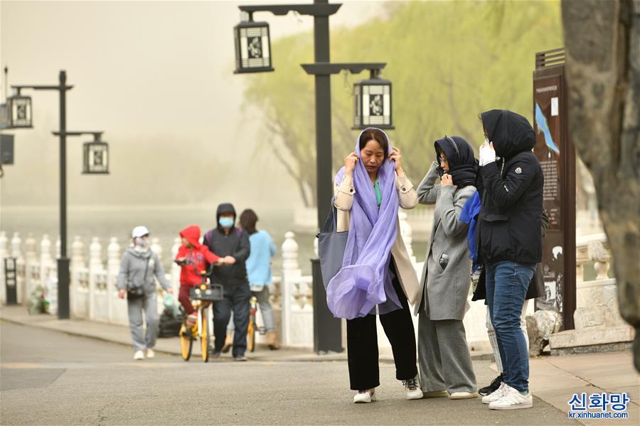 （新华视界）（6）北京出现大风沙尘天气