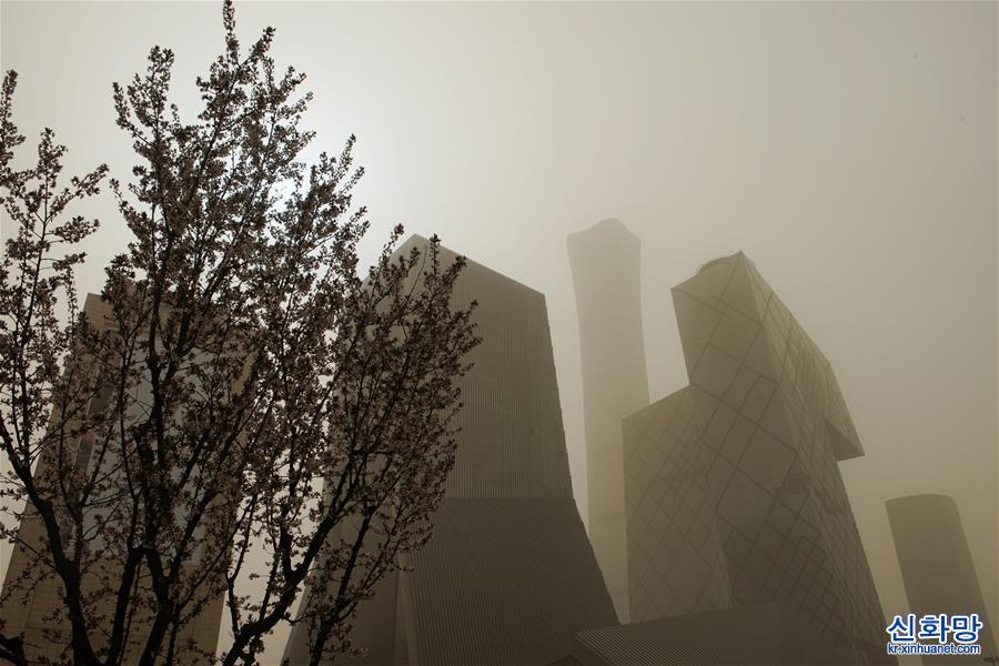 （新华视界）（4）北京出现大风沙尘天气