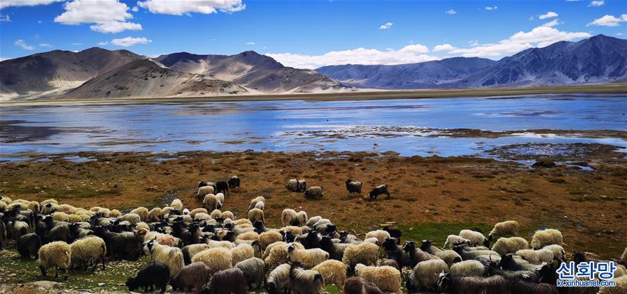 （美丽中国）（1）西藏定结湿地：静水如镜