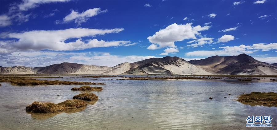 （美丽中国）（4）西藏定结湿地：静水如镜