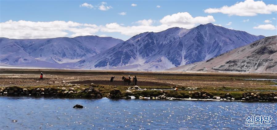 （美丽中国）（2）西藏定结湿地：静水如镜