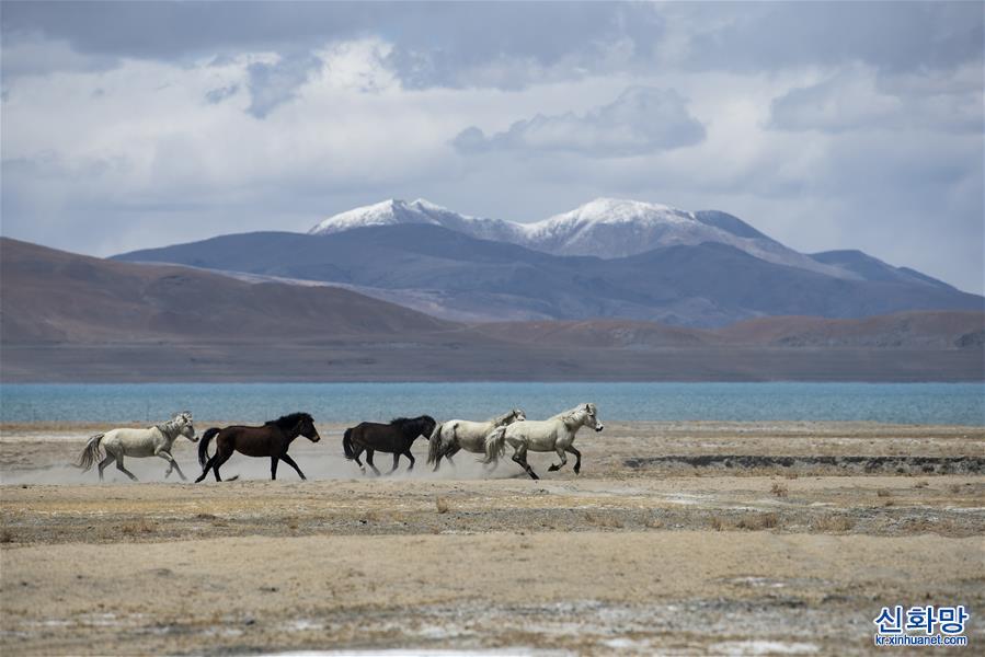 （美麗中國）（5）佩枯錯：珠峰保護區內最大內陸湖泊