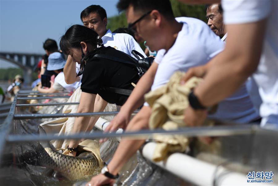 （环境）（2）“全国放鱼日”湖南省同步放鱼1.35亿尾