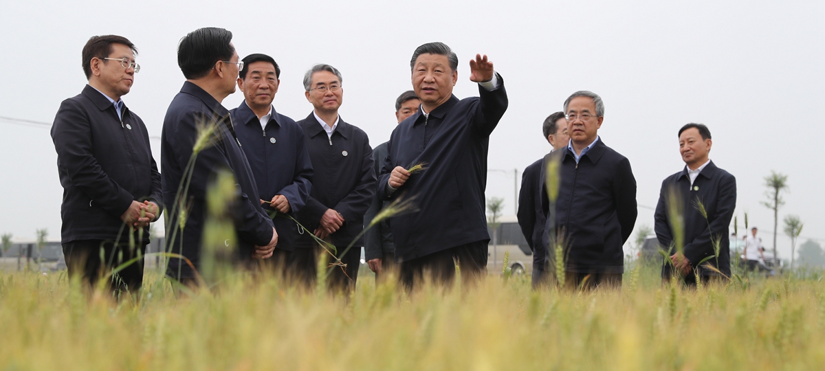 시진핑 총서기, 난양시 시촨현 남수북조 프로젝트 시찰