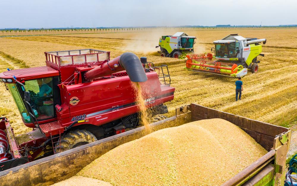 中 국가개발은행, 상반기 고표준 농지 건설에 7천700억원 대출